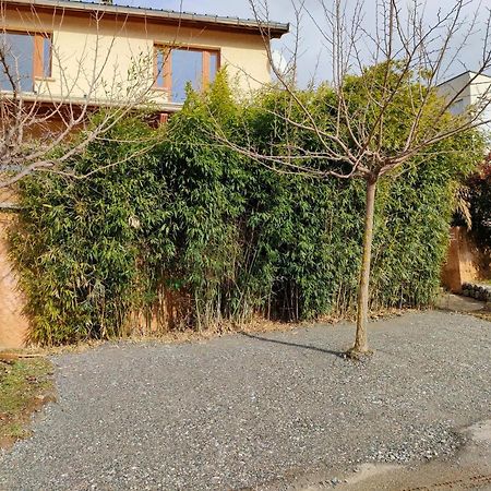 סבינס Le Cosy Du Plongeoir - T2 Neuf Avec Vue Sur Le Lac De Serre Poncon Et Grande Terrasse Avec Jardin מראה חיצוני תמונה